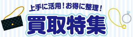 ダテパー 特集